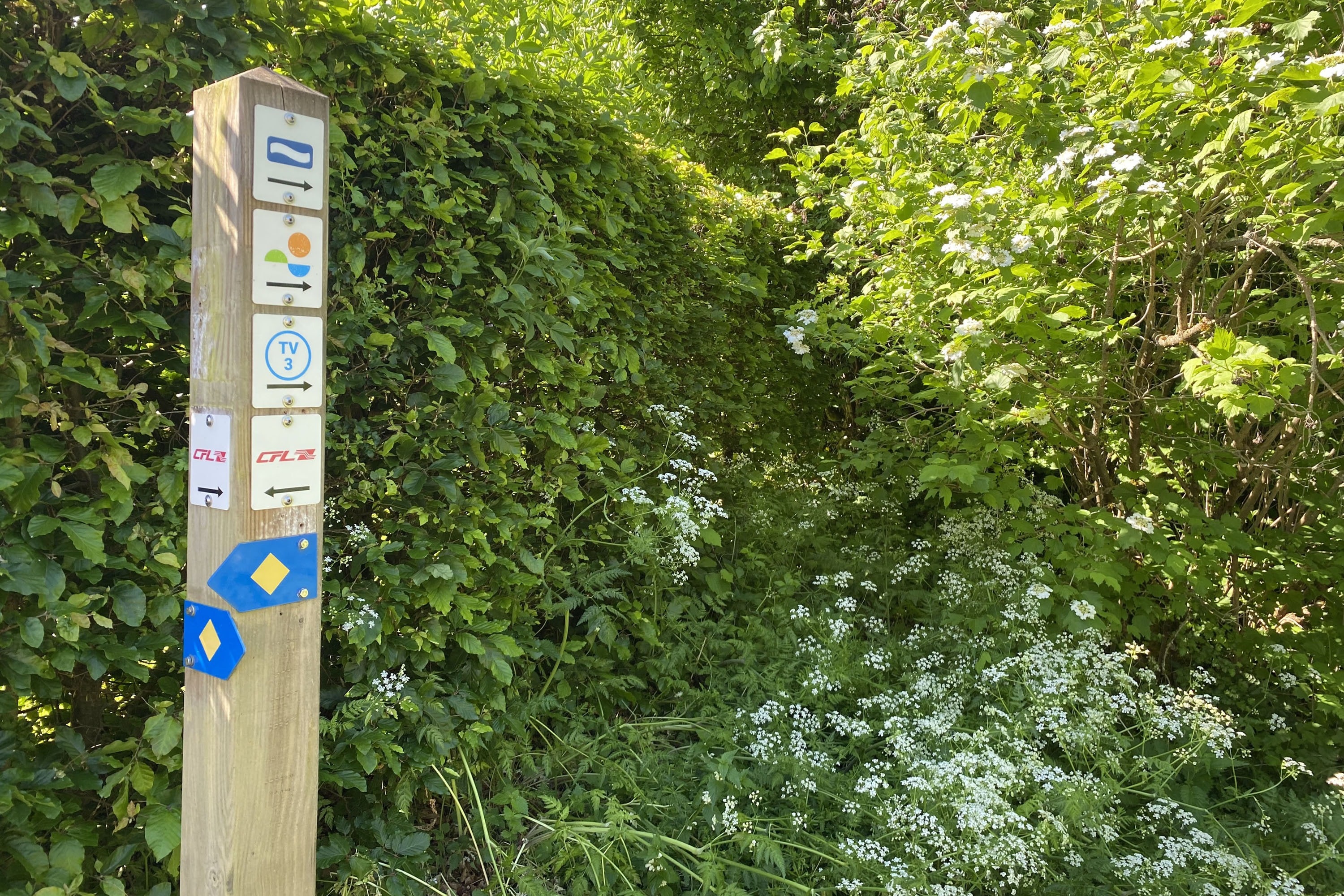 Camping Troisvierges