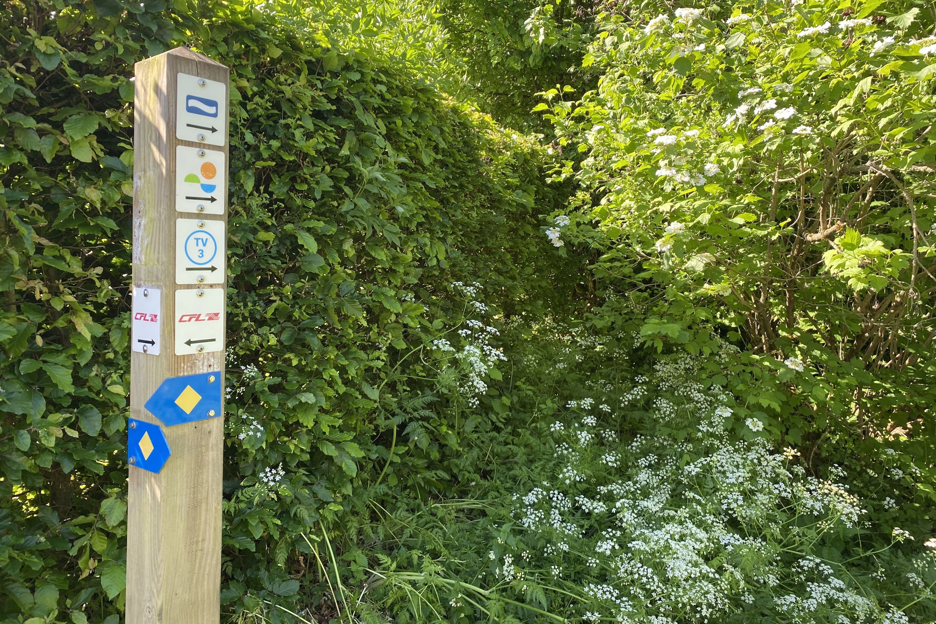 Camping Troisvierges