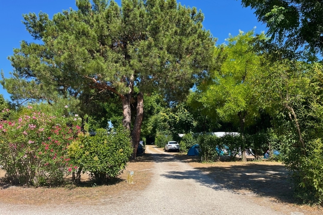 Pausado Camping Pegomas