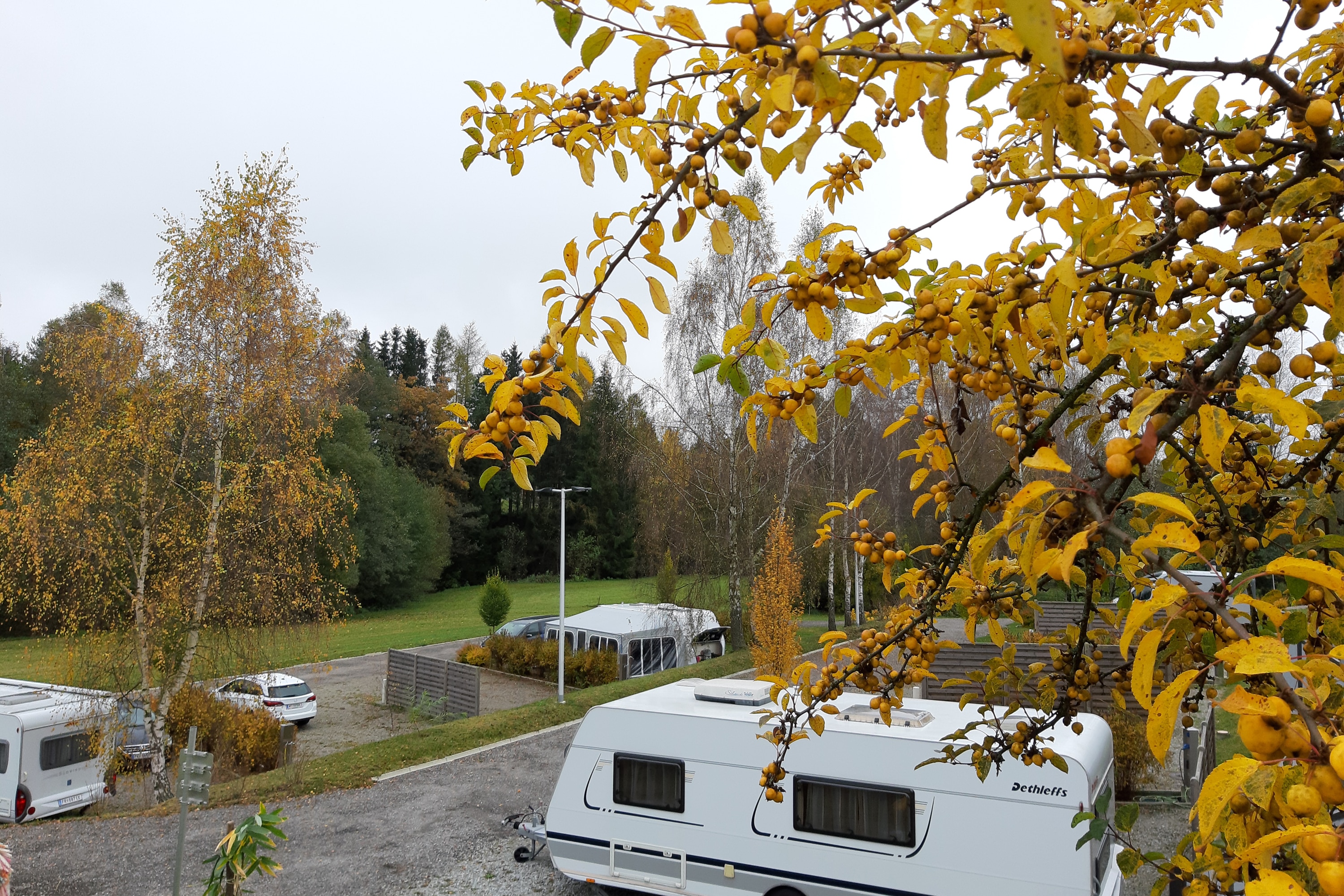 Camping Waldenstein
