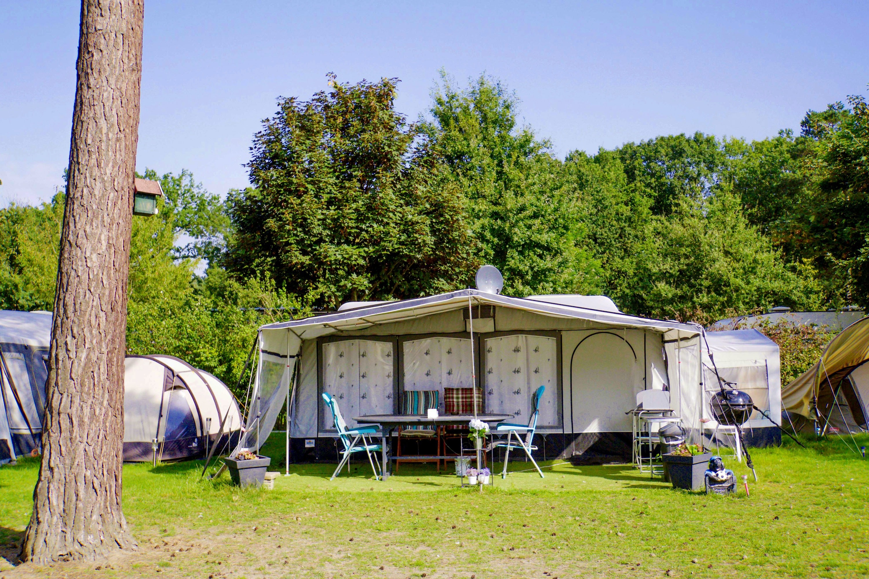 Ardoer Camping De Heldense Bossen
