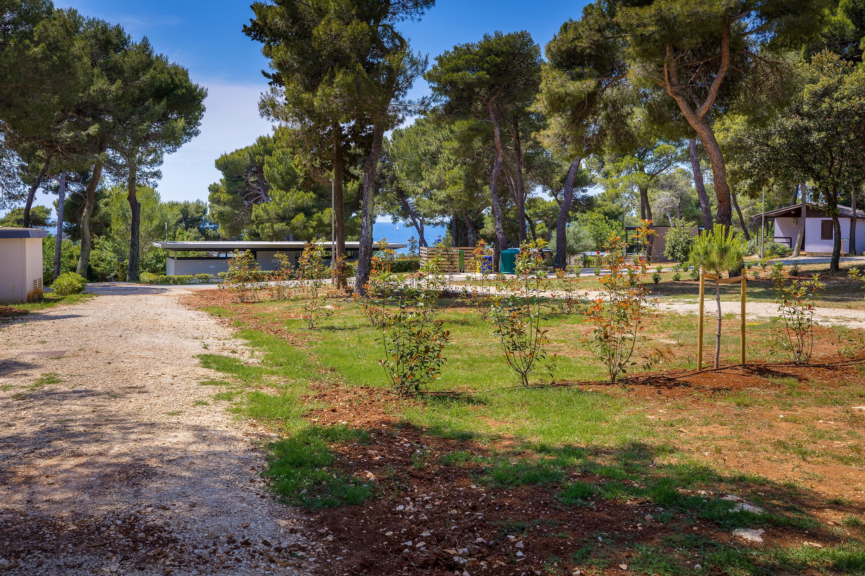 Arena Indije Campsite