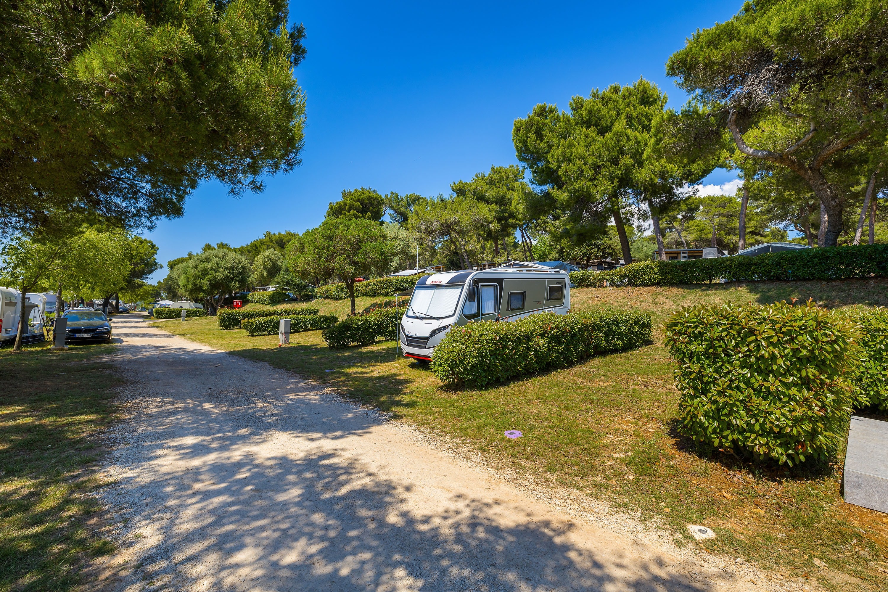 Arena Indije Campsite