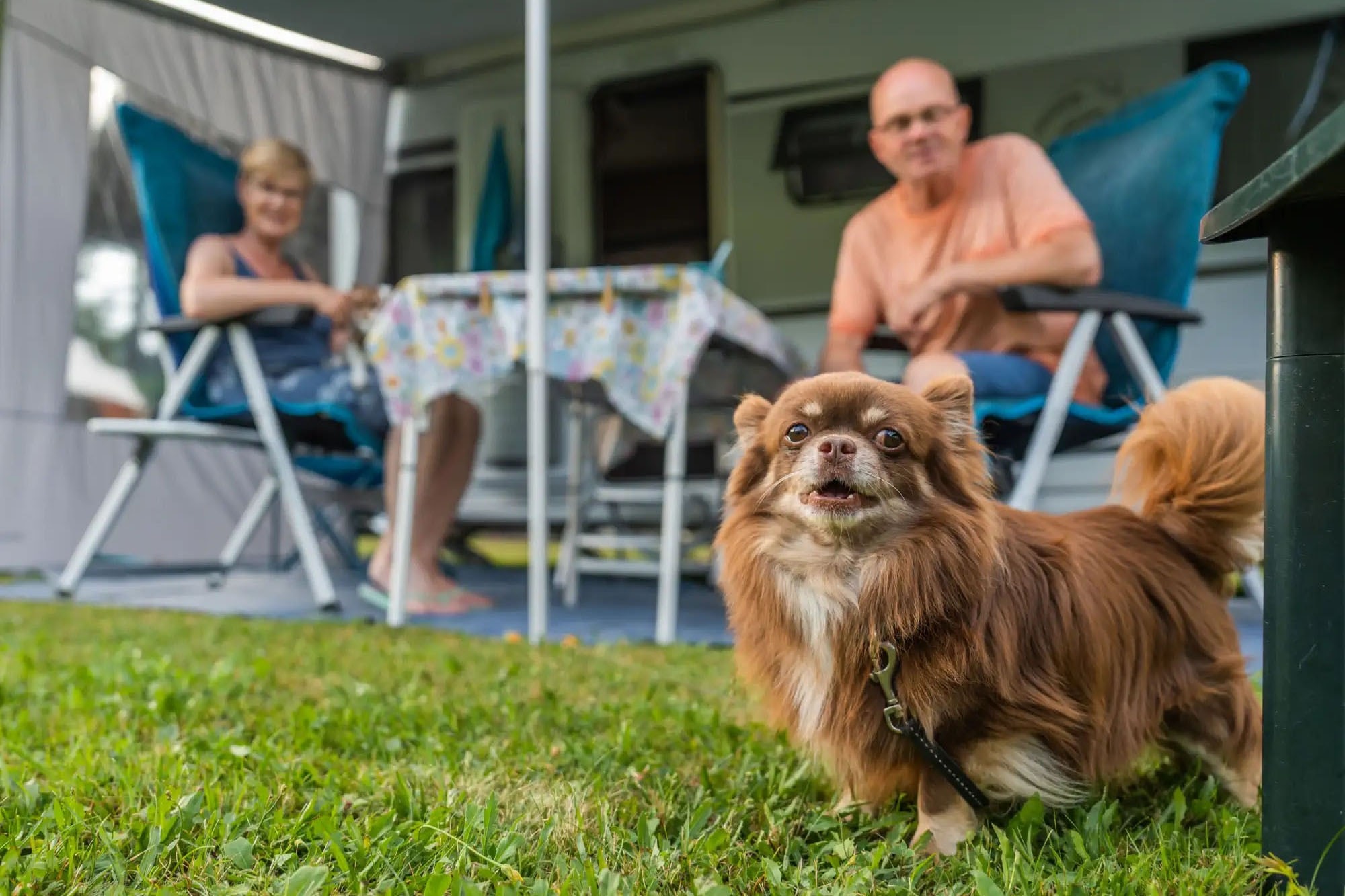 Camping Alpendorf