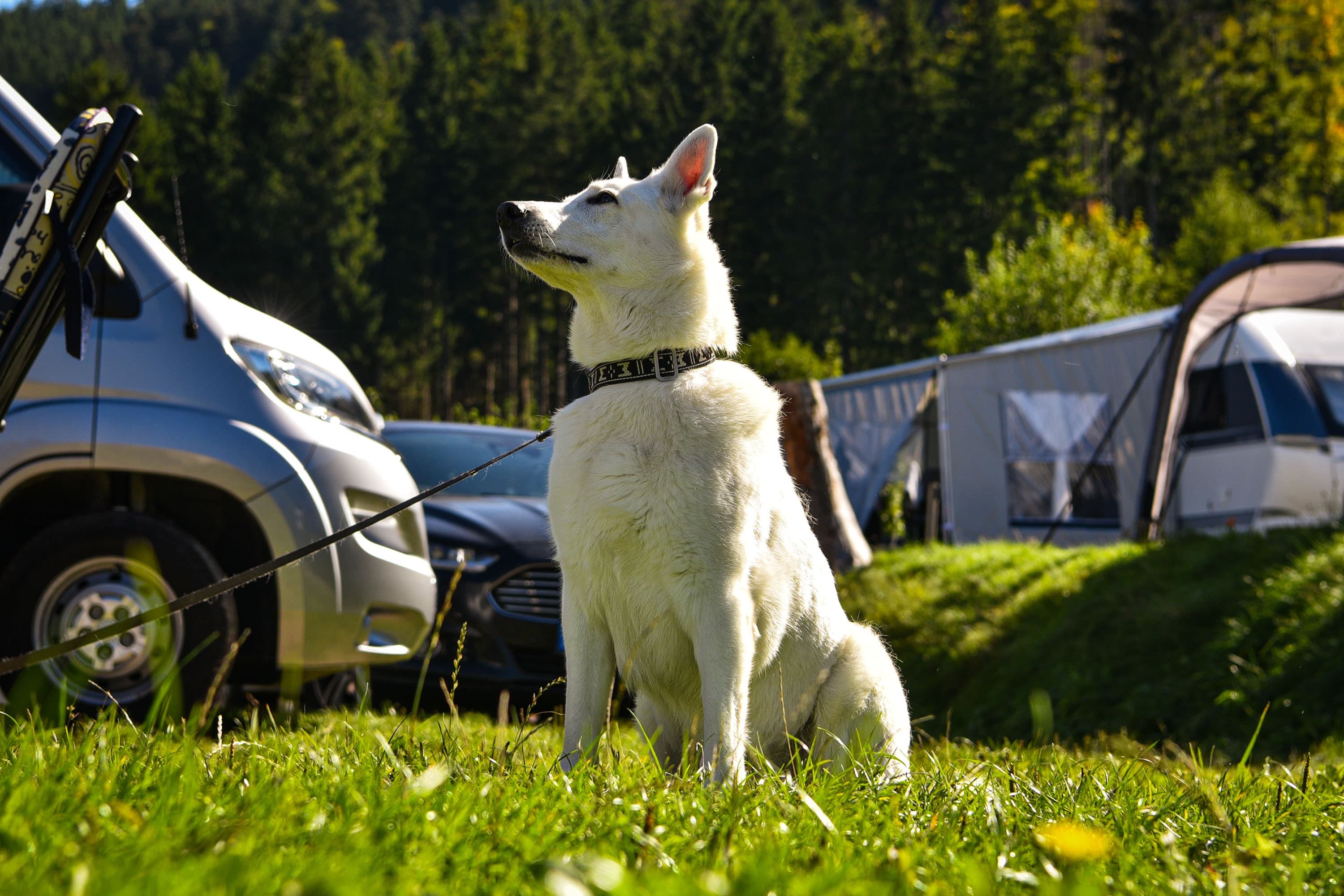 Überland Camping Sandbank