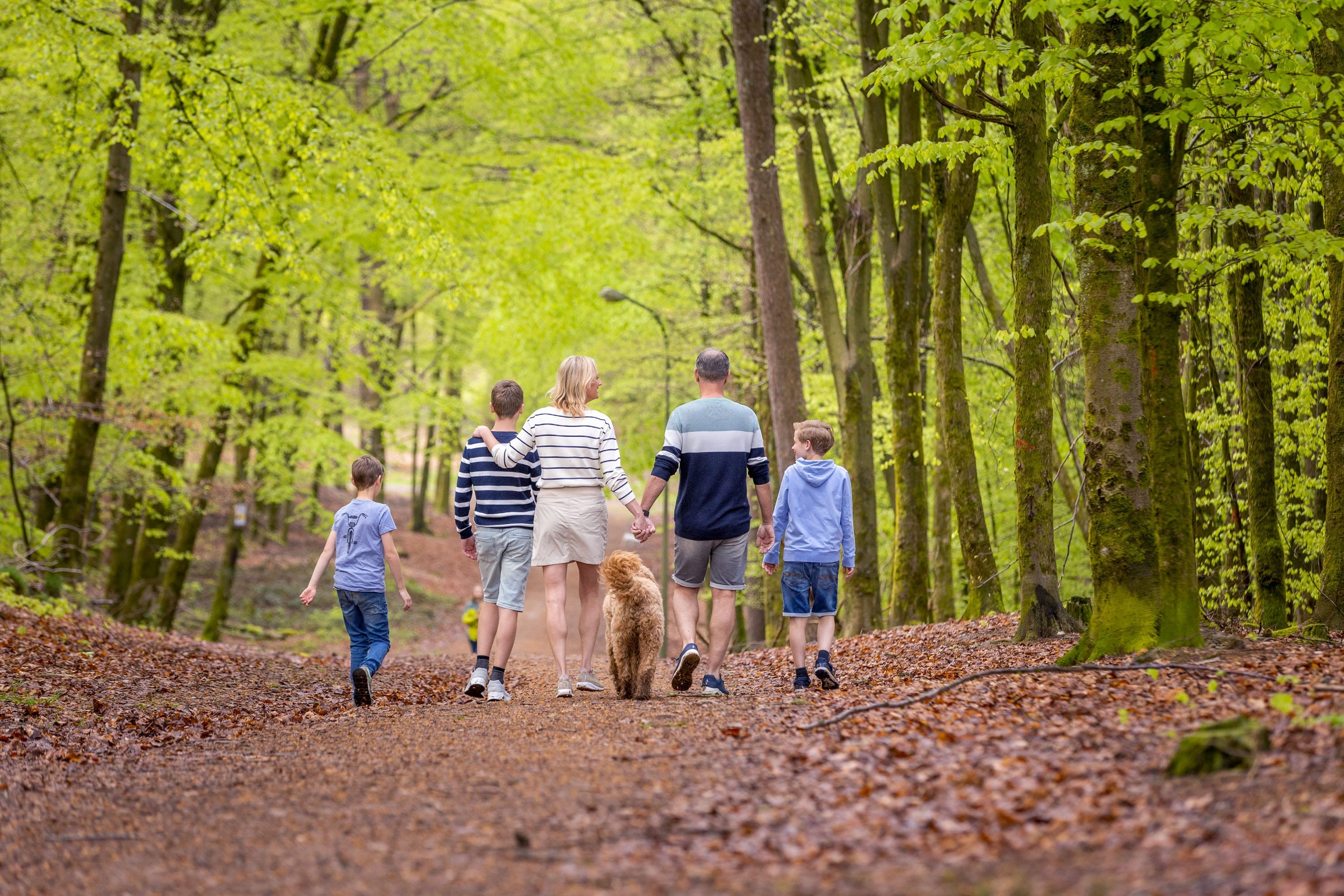 Ardennen Camping Bertrix