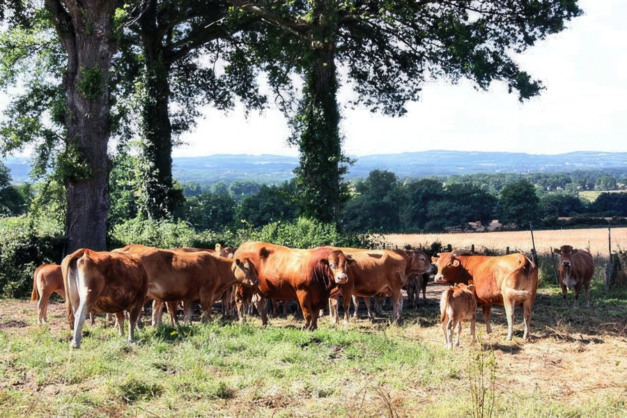 Camping Creuse Nature Naturiste