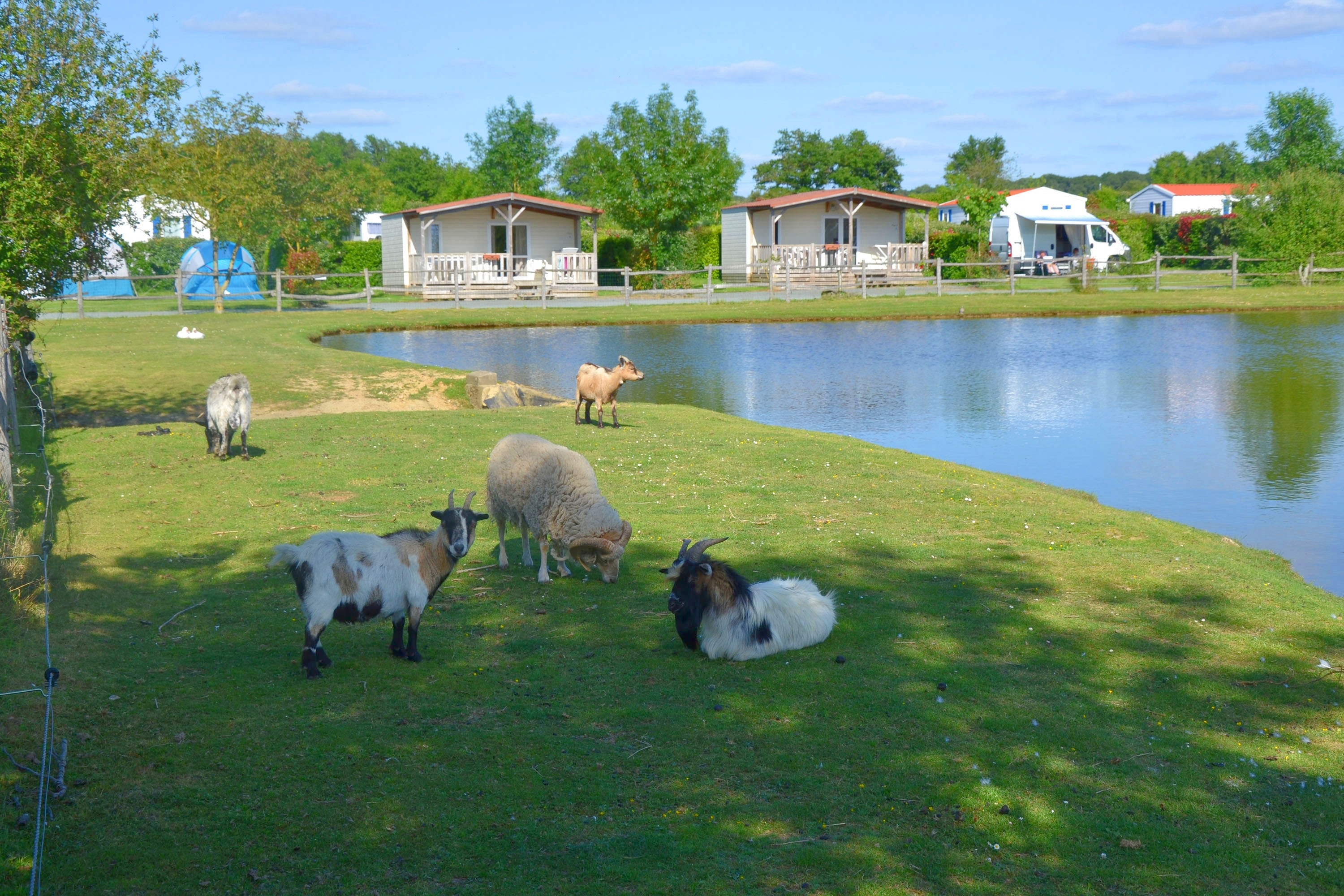 Camping Paradis de la Motte